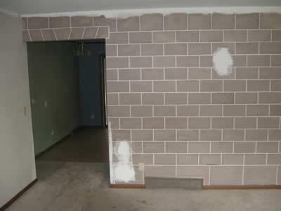 livingroom berfore remodel 
