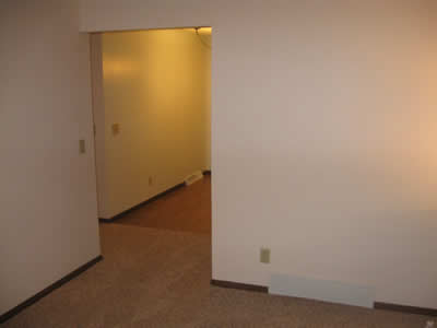livingroom after remodeling